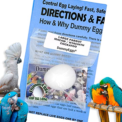 DummyEggsΓ’ββ‘ USA. Large Parrot Dummy Eggs Control Breeding & Laying! Large Macaw, Hyacinth, Umbrella Cockatoo 1-7/8 x 1-1/2 Solid Plastic Realistic Non-Toxic Fake Bird Eggs. Ship Fast! (1 Egg) DummyEggsΓ’ββ‘ USA. Large Parrot Dummy Eggs Control Breeding & Laying! Large Macaw, Hyacinth, Umbrella Cockatoo 1-7/8" x 1-1/2" Solid Plastic Realistic Non-Toxic Fake Bird Eggs. Ship Fast! (1 Egg)