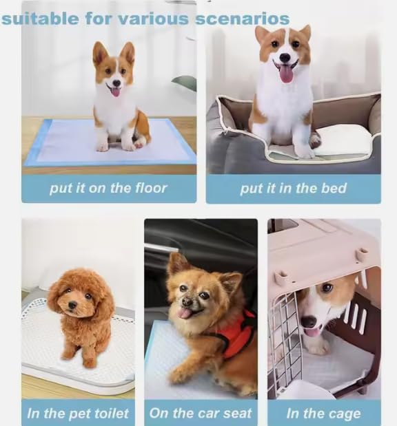 Image of Dog Pee pad, Puppy Training Pads for Small to Large Dogs 24 inchx24 inch, Leak Proof and Super Absorbent Disposable Pads for Dogs, Cats and Rabbits. 40 pet Potty Pads.