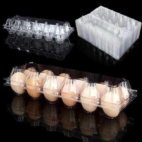 FVIEXE 36 cajas de huevos baratas a granel, cartón grande de plástico vacío para huevos de gallina, cada uno tiene capacidad para 1 docena de huevos (12 huevos), bandeja de huevos de gallina en
