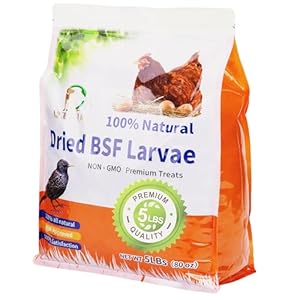 5lbs Dried Black Soldier Fly Larvae for Chickens Food – 100% Natural BSF Larvae More Calcium Than Dried Mealworms – High Protein Chicken Treats for Laying Hens Ducks Birds