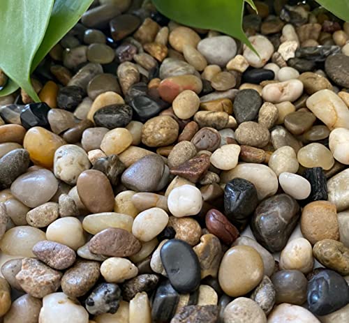 Premium Pebbles Flusssteine 3/8 Zoll, 4.5 kg
