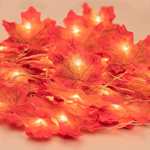 MUSCCCM 6.56ft 20 LED de Otoño Artificial Arce Hojas de Alambre de Cuerda Luces de Caída Guirnalda Operado por Batería Decoración para Navidad Halloween Fiesta de Boda Vacaciones Casa Jardín