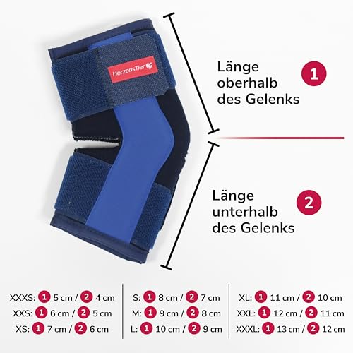 HERZENSTIER Sprunggelenkbandage aus Schaumstoff Gr. XXL für Hunde & Katzen, atmungsaktiv mit Schienen zur Sprunggelenks-Unterstützung mit bei Arthrose & Instabilität