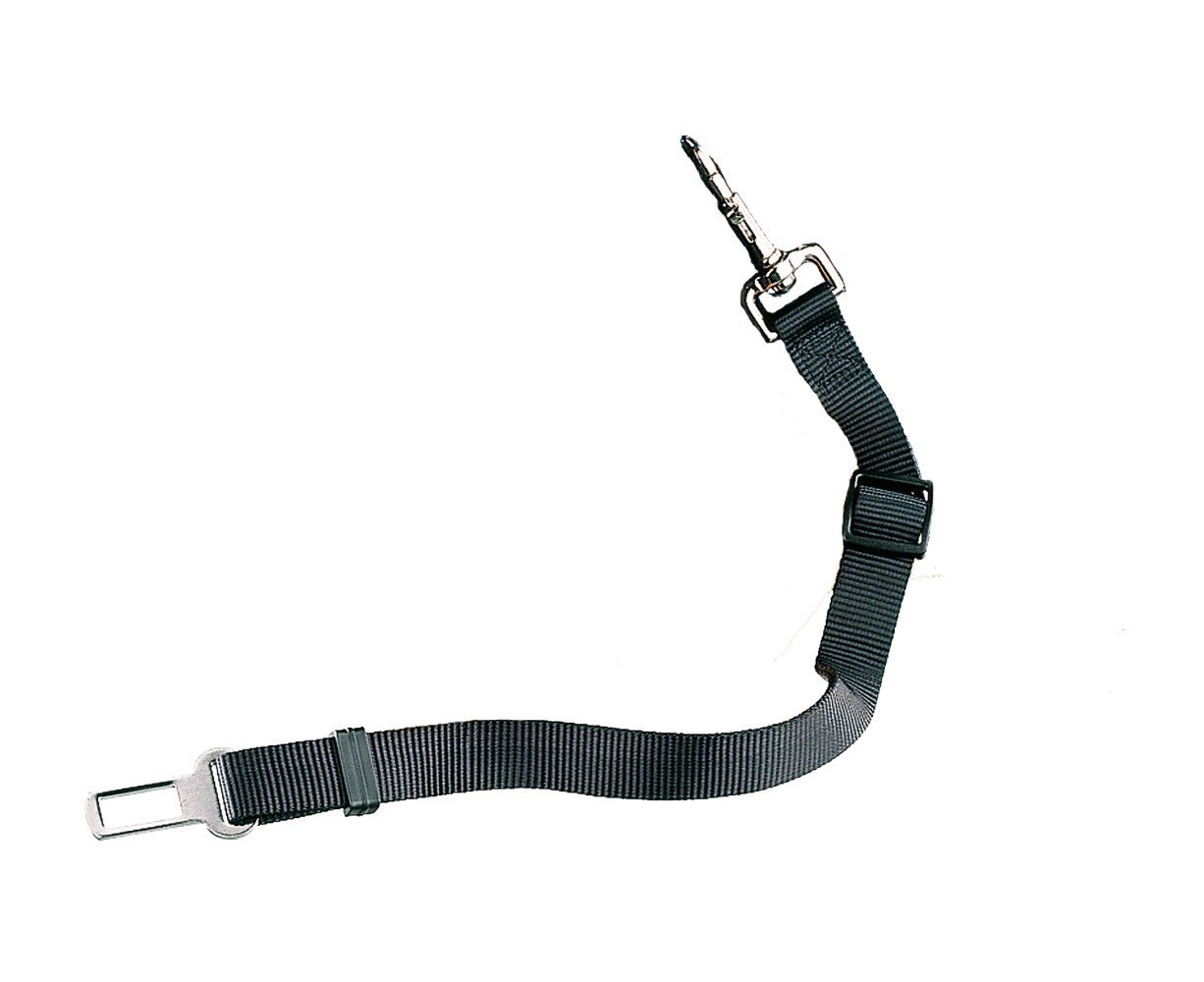 Nobby Safety Belt