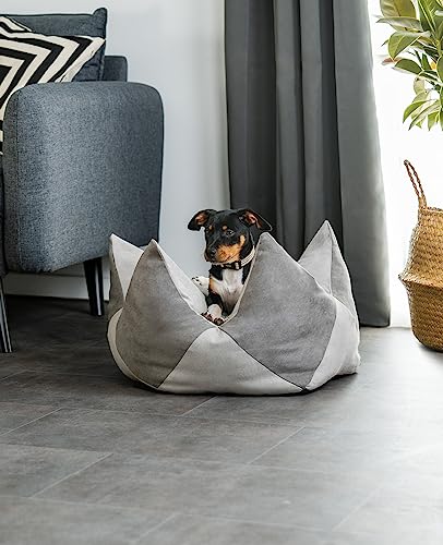 lionto Kronenkissen in Wildlederoptik für Katzen und kleine Hunde, extravagantes Sternenkissen mit abnehmbarem Bezug, 60x35 cm, strapazierfähiges Haustierkissen mit Variabler Füllung, grau/hellgrau
