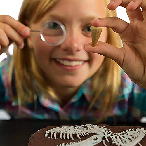 Buy ULTIMATE DINO DIG Science Kit Dig Up 3 Real Dinosaur Fossils and