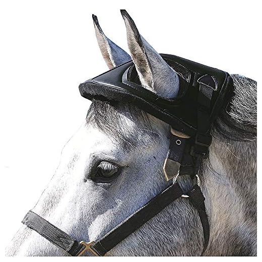 Cashel Horse Helmet