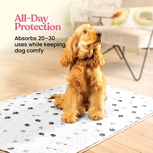 Image of Super Absorbent Washable Pee Pads for Dogs - 2-Pack Superior Reusable Puppy Pads Pet Training Pads -100% Waterproof Dog Pee Pad Protects Against Urine Leakage Non-Slip Grip Prevents Slipping& Bunching