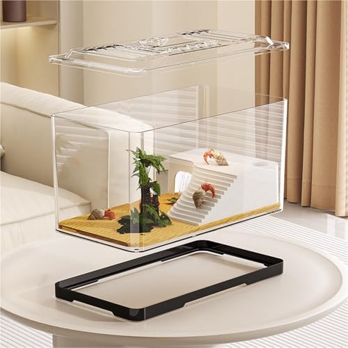 Aquarium de bureau pour tortue : terrarium transparent format XL