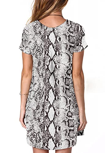 Image of Alaster Women's Casual Summer T Shirt Dress Loose Short Sleeve Tunic Dress with Pocket for Women