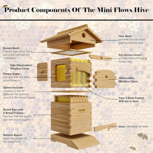 Bienenstock-Set – Strömungsstock mit Beobachtungsfenster & Honigauslauf, Bienenbox aus Holz mit integriertem Zimmermann-Bienenhaus