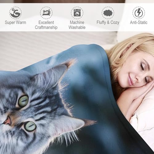 Couverture chat mignon pour chambre à coucher, canapé et camping - 4