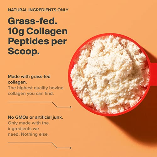 H.v.m.n. Keto Collagen+ Protein Powder: Collagen Supplement With Collagen Peptides & Mct Powder - Keto Diet Approved - 25 Servings (Hazelnut) #TOP3