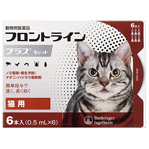 �y10���Z�b�g�z�L�p�t�����g���C���v���X�L���b�g 6�{�i6�s�y�b�g�j�y�����p���i�z