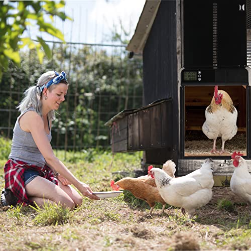 Automatic Chicken Coop Door Battery Powered, Aluminum Chicken Door With Timer, Black #TOP6