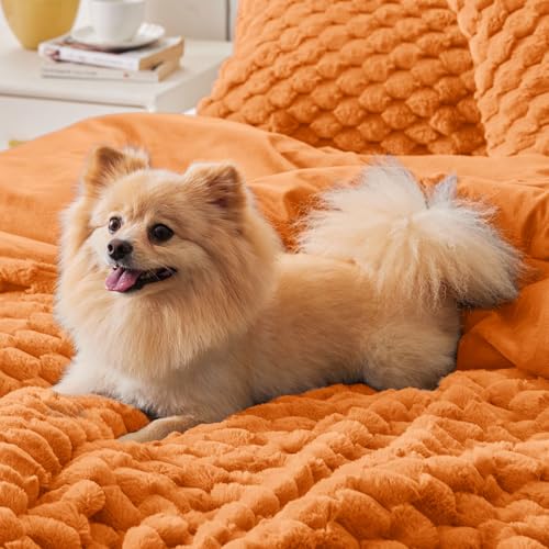 Image of BEDELITE Fluffy King Size Comforter Set - Burnt Orange Fleece Soft Comforter for King Size Bed, Luxury Warm Bedding Set for Winter, Fuzzy Bed Set 3 Pieces (1 Comforter, 2 Pillowcases)