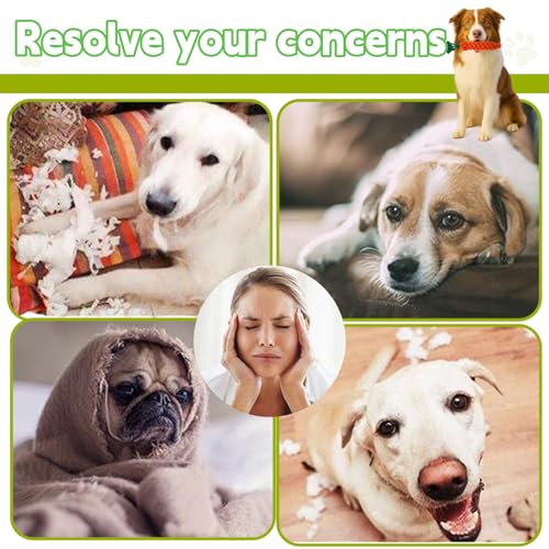 Aoksily Jouets pour Chien,12 Pièces de Jouet Chiot Chien,Corde Durable Indestructible à Mâcher pour Petit et Moyen – Image 5