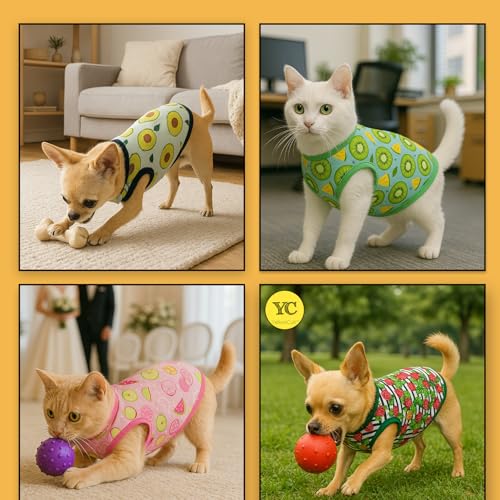 Image of Yellowcult Cute Pet T-Shirt Clothes, Summer Sweetshirts Teddy Pet Random Design mesh Outfit for Large Dog, cat, Puppy, Kitten, Diwali, Festival, Travel, Outing, Photos (XL- Any 1)