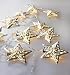 Velice Battery Operated Warm White LED Fairy Lights 10 Metal Star String Decoration Light for Festival Halloween Christmas Party Wedding (Silver)
