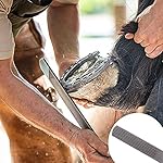 Horse Farrier Hoof Tool Kit(7 Piece) with Carry Bag Horse Equine Metal Shears Farriers Hoof Nipper Cutter Handle Knife Stable Supplies Professional Hoof Trimming Tools - Image 5
