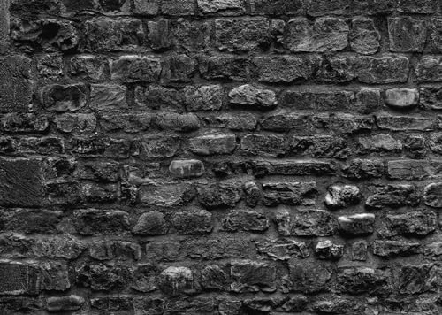 Fond mur de briques sombres BELECO tissu anti-reflet 2.5x1.8m pour photo grunge