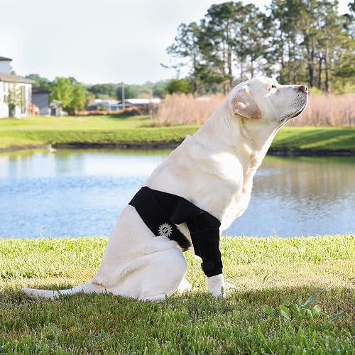 Image of Large Breathable Dog Knee Brace for Torn ACL Legs - Easy to Use, Neoprene Dog Leg Braces for Back Leg - ACL Brace for Dogs, Helps Reduce Pain and Heal Injuries
