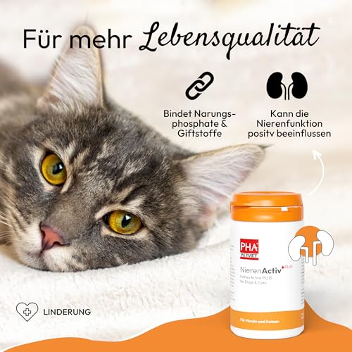 PHA Nieren Activ Plus für Hunde & Katzen - Unterstützung der Nierenfunktion & Erhalt der normalen Nierengesundheit von Hund & Katze, Ergänzungsfuttermittel, Pulver 60 g