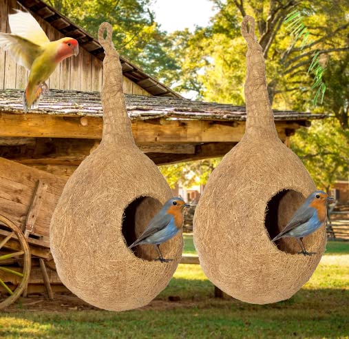 Ekan Chidiya Ka Ghonsla Sparrow House Birds Nest Hanging for Indoor Outdoor (Brown) Set of 2 (B0BJZNRRCM) Amazon Price History, Amazon Price Tracker