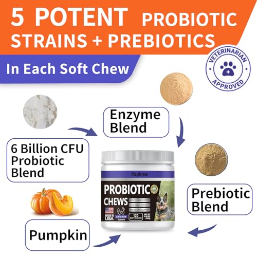 HEYISME Probiotics for Dogs, Improve Yeast Balance, Itchy Skin Itchy Ears, Gut Health, Allergies, Immunity, Dog Probiotics and Digestive Enzymes with Prebiotics - Reduce Diarrhea (Chicken, 120 Chews) - Thumbnail 4
