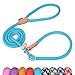 Grand Line Slip Lead Dog Leash, 5FT Reflective Slip Rope, Puppy Training Walking Controlling Lead, Slip Collar Pet Leash for Small, Medium, Large Dogs (Blue, Large-3/5in x 5ft)