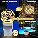 DeeprBlu Pool Chlorine Floater with Solar Ball Light, Floating Chlorine Dispenser for 3'' Chlorine Tablets, Chlorine Tablet Floater Chemical Dispenser Easy Opening, Bromine Tablet Holder for Pool, Spa