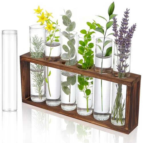7 Pièces Vases en Tubes à Essai, Vase en Verre de Tube à Essai 30 X 150 Mm, Vases Vintage Décoratif, Vase en Verre avec Support en Bois pour Fleurs,...