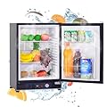 Smad 2.1 Cu.Ft. Propane Refrigerator, 12v RV Refrigerator for Trucks, 3 Way Fridge with Reversible Door, No Noise, AC/DC/LPG,55 Qt, Black