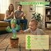 Ayeboovi Baby Toys Dancing Talking Cactus, Volume Adjustable Mimicking Recording Cactus Toy Repeats What You Say, Toddler Toys Singing Cactus with 120 Songs, Tummy Time Toys for Kids Boys Girls