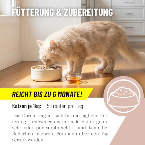 ReaVET Darmöl für Katzen 50ml I Verdauung, Darmflora I Sekundierend bei Verstopfung und Verdauungsproblemen, kein Remedium und Laxans