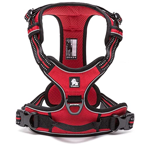 J&C Paradise  n[lX {KX p lC ȒP ʋC ߉\ 3M h~ s⏕ TRUELOVE (M, bh)