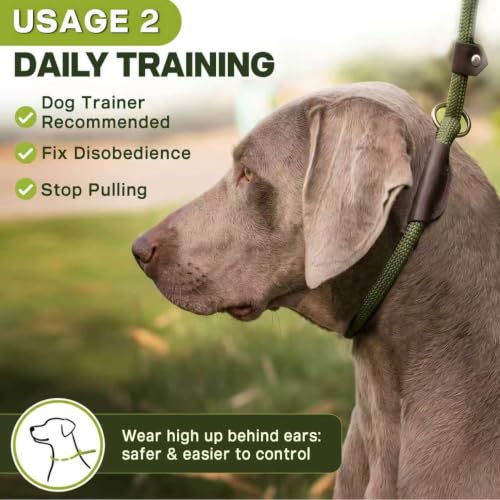 Fida Durable Slip Lead, 6 FT x 1/2" Heavy Duty Loop Leash, Comfortable Strong Rope for Large, Medium Dogs, No Pull Pet Training with Highly Reflective, Green