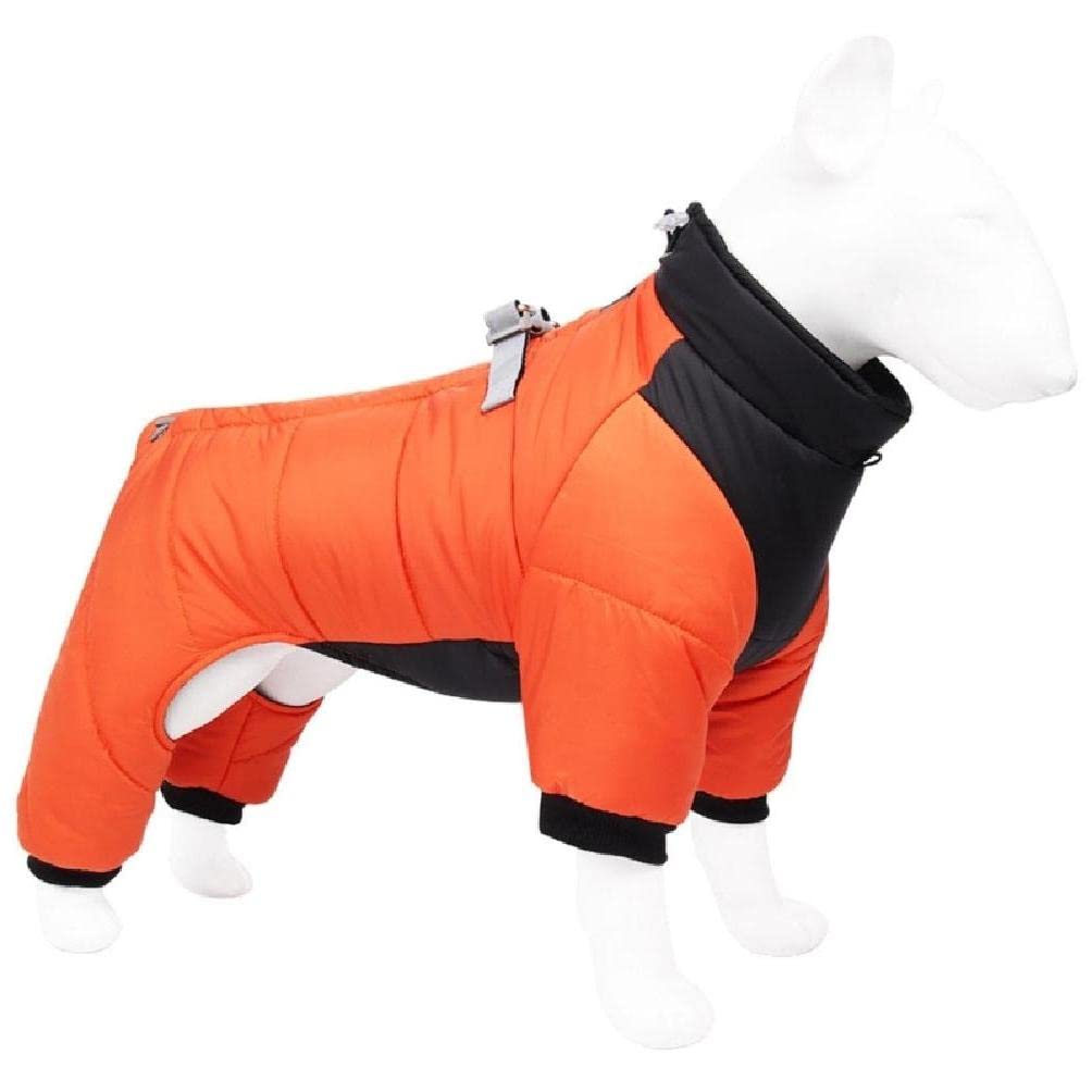Protection chien contre la pluie avec manteau respirant L