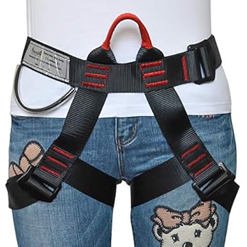 rock climbing harness and shoes