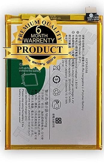 Image of THE BATTERY STORE Original B-F3 Battery for Vivo Y91 / Y93 / Y95 Y93S Y91C / Y90 / Y1S Battery with 6 Month Warranty **** (PPP193)
