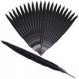  Anladia - 20 plumas para decorar el hogar, boda negro