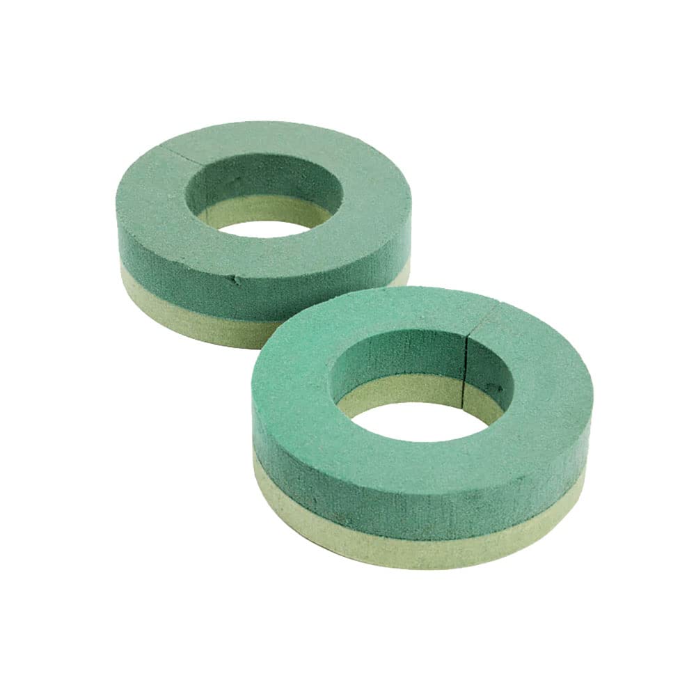 FloristryWarehouse Oasis Foam Frame Rings 20cm/8 Inch Diameter