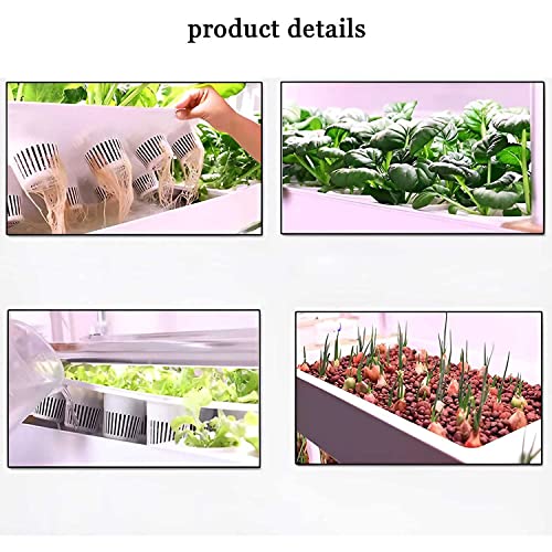 Système de culture hydroponique – Jardinière d'intérieur verticale avec lampes de croissance LED pour une agriculture domestique efficace sans sol