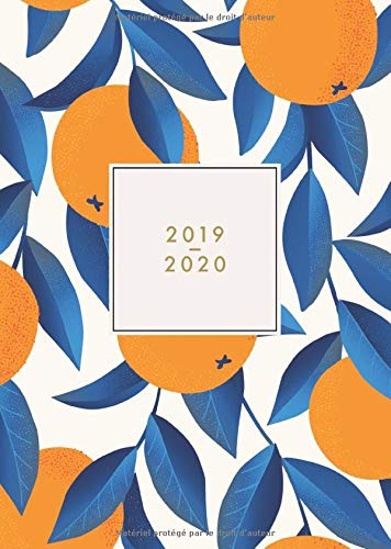 Télécharger 2019 - 2020: Agenda journalier 2019/20 - 18 mois - juillet 2019 à décembre 2020 - planificateur, s Livre PDF Gratuit