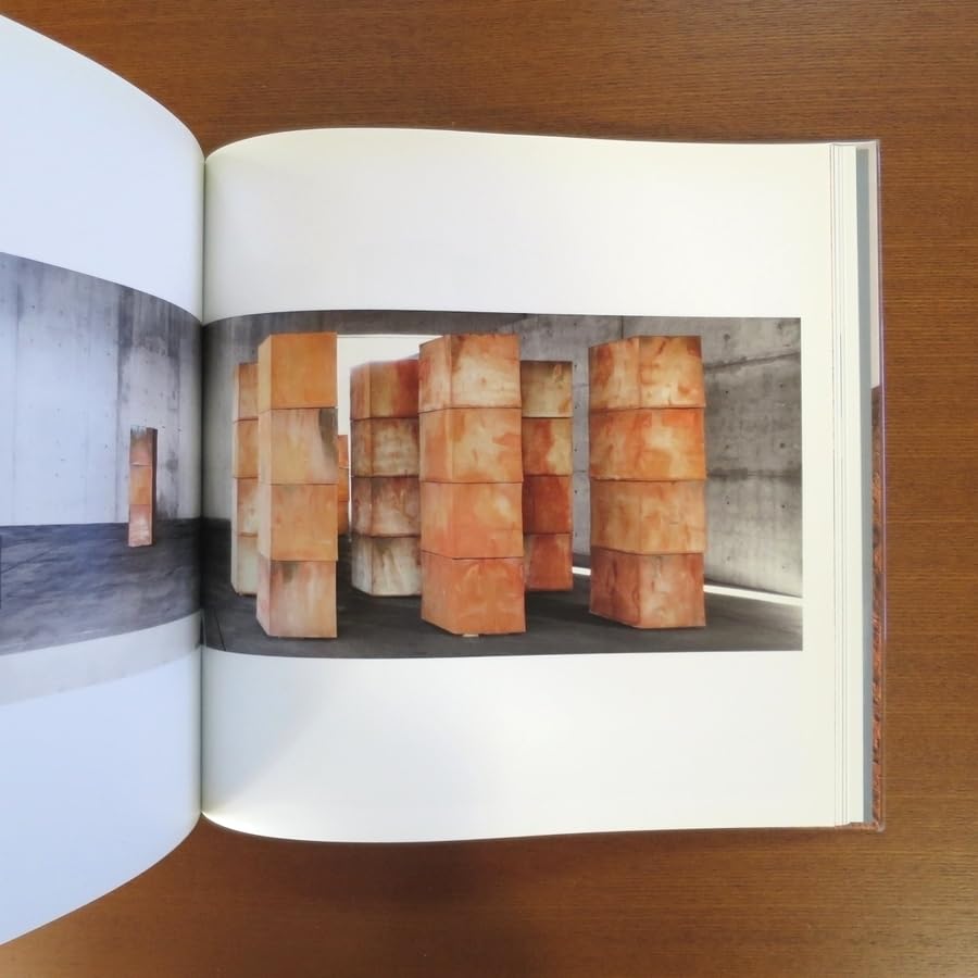 Amazon.co.jp: ボスコソディ 彫刻 作品集□図録 抽象画 美術手帖