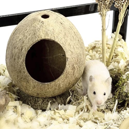 YPBEW Natürliches Kokosnuss Hamsterhaus, belüftet mit Stabiler Basis und kausicherem Design, warmes Winterbett für Zwergschinken, kleine Haustiere, warme Häuser, Kokosnüsse-8