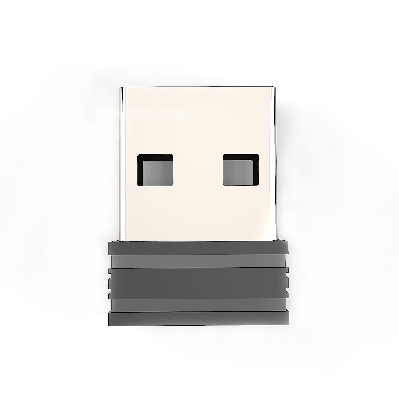 RAPIQUE USB Receiver, a small black USB-A dongle