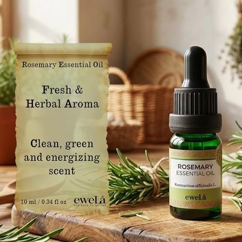 Aceite Esencial de Romero Ewela 0.34 Fl Oz 100% Puro miniatura 3