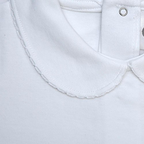 CARLINO Peter Pan Collar Short Sleeve T-Shirt2