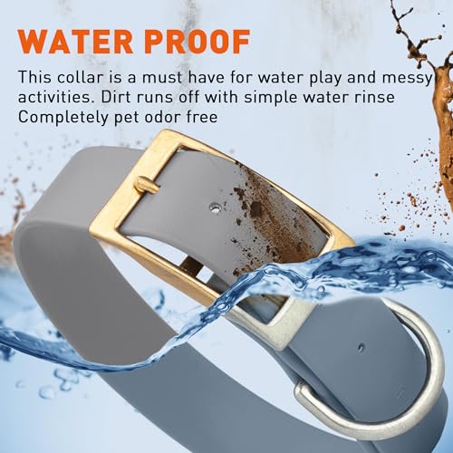 Image of Viper Biothane Heavy Duty Waterproof Dog Collar Strong Coated Nylon Webbing w /Solid Brass Hardware Odor-Proof Easy to Clean High Performance Fits Small Medium or Large Dogs, Battleship Gray